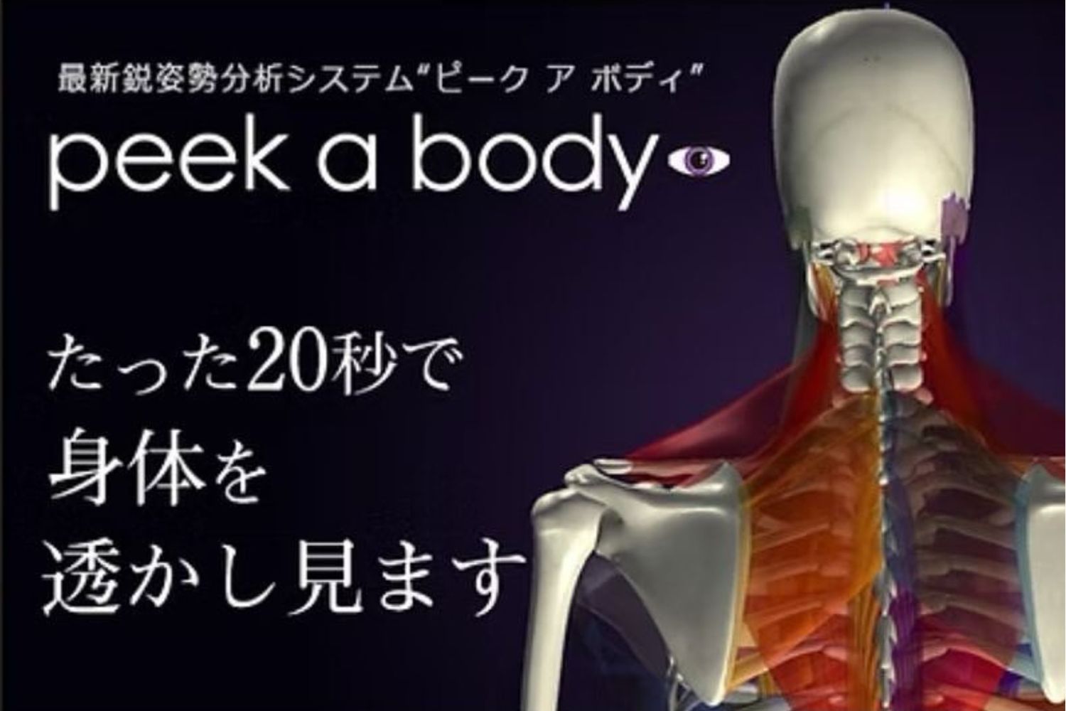 最新姿勢分析システム ピークアボディ