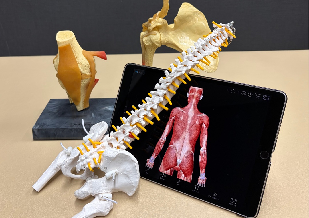 わかりやすさを大切にした治療